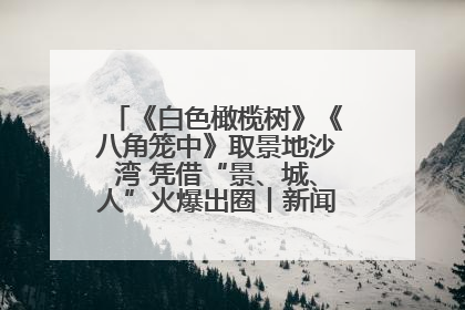 《白色橄榄树》《八角笼中》取景地沙湾 凭借“景、城、人”火爆出圈丨新闻发布最前线
