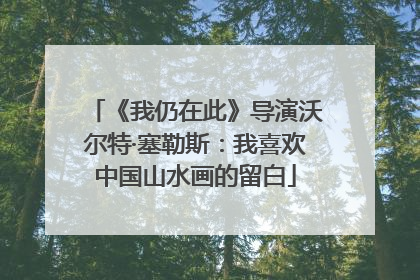 《我仍在此》导演沃尔特·塞勒斯：我喜欢中国山水画的留白