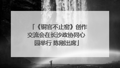 《铜官不止窑》创作交流会在长沙政协同心园举行 陈刚出席