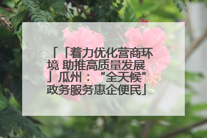 「着力优化营商环境 助推高质量发展」瓜州：“全天候”政务服务惠企便民