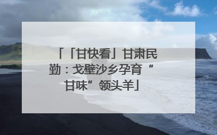 「甘快看」甘肃民勤：戈壁沙乡孕育“甘味”领头羊