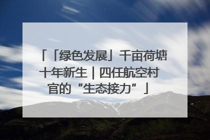 「绿色发展」千亩荷塘 十年新生｜四任航空村官的“生态接力”