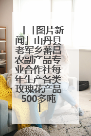 「图片新闻」山丹县老军乡蕃昌农副产品专业合作社每年生产各类玫瑰花产品500多吨