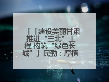 「建设美丽甘肃 推进“三北”工程 构筑“绿色长城”」民勤：厚植生态底色 筑牢绿色屏障