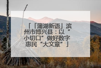 「蒲湖新语」滨州市博兴县：以“小切口”做好数字惠民“大文章”