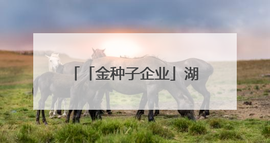 「金种子企业」湖北省委书记、省人大常委会主任王忠林一行到依瑞德调研