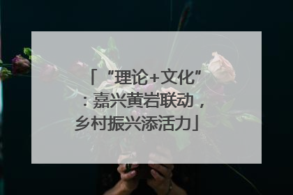 “理论+文化”：嘉兴黄岩联动，乡村振兴添活力