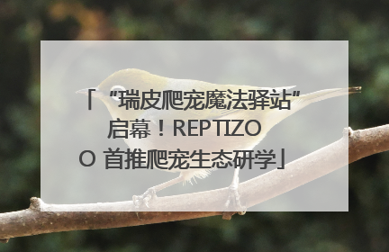 “瑞皮爬宠魔法驿站” 启幕！REPTIZOO 首推爬宠生态研学