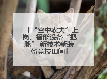 “空中农夫”上岗、智能设备“把脉” 新技术新装备竞技田间