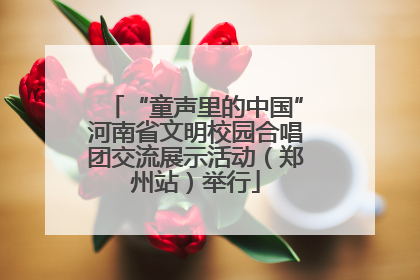 “童声里的中国”河南省文明校园合唱团交流展示活动（郑州站）举行