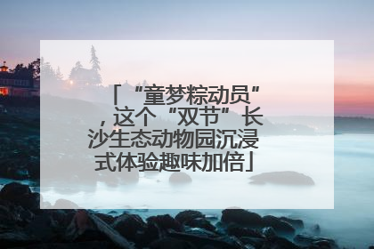 “童梦粽动员”，这个“双节”长沙生态动物园沉浸式体验趣味加倍