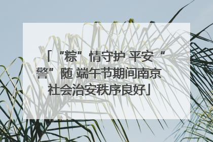 “粽”情守护 平安“警”随 端午节期间南京社会治安秩序良好