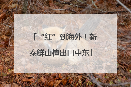 “红”到海外！新泰鲜山楂出口中东