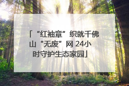 “红袖章”织就千佛山“无废”网 24小时守护生态家园