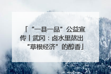 “一县一品”公益宣传丨武冈：卤水里熬出“草根经济”的醇香