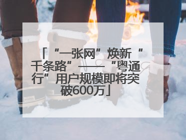 “一张网”焕新“千条路”——“粤通行”用户规模即将突破600万