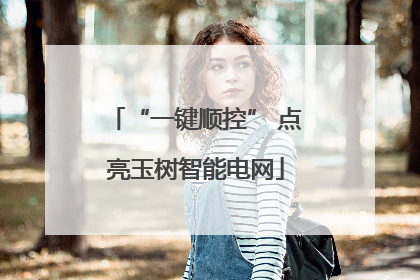 “一键顺控” 点亮玉树智能电网