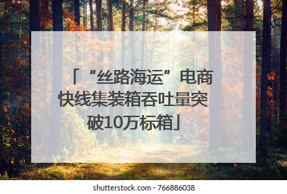 “丝路海运”电商快线集装箱吞吐量突破10万标箱