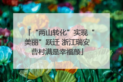 “两山转化”实现“美丽”跃迁 浙江瑞安曹村满是幸福颜