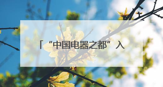 “中国电器之都”入选浙江省级中心镇