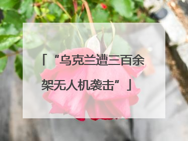 “乌克兰遭三百余架无人机袭击”