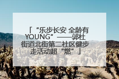 “乐步长安 全龄有YOUNG”——郭杜街道北街第二社区健步走活动超“燃”