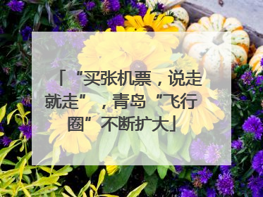 “买张机票，说走就走”，青岛“飞行圈”不断扩大