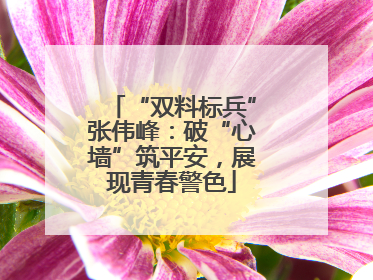 “双料标兵”张伟峰：破“心墙”筑平安，展现青春警色