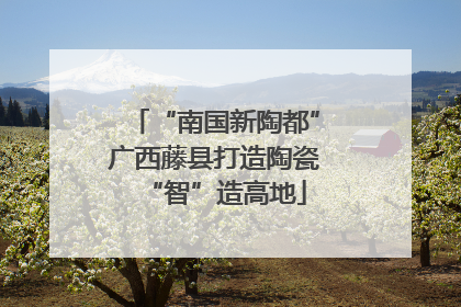 “南国新陶都”广西藤县打造陶瓷“智”造高地