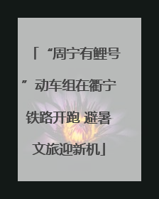 “周宁有鲤号”动车组在衢宁铁路开跑 避暑文旅迎新机