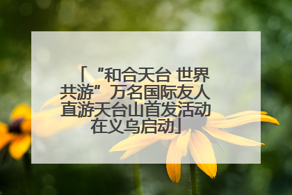 “和合天台 世界共游”万名国际友人直游天台山首发活动在义乌启动