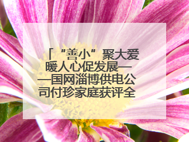 “善小”聚大爱 暖人心促发展——国网淄博供电公司付珍家庭获评全国文明家庭背后的文明密码
