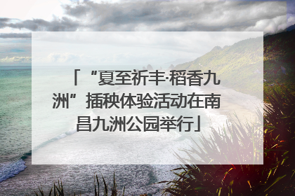 “夏至祈丰·稻香九洲”插秧体验活动在南昌九洲公园举行
