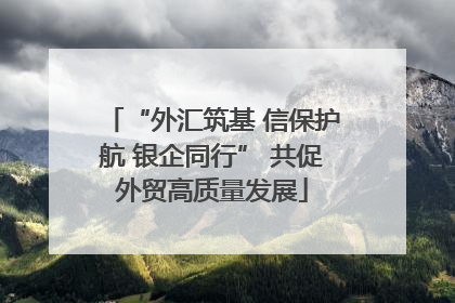 “外汇筑基 信保护航 银企同行” 共促外贸高质量发展