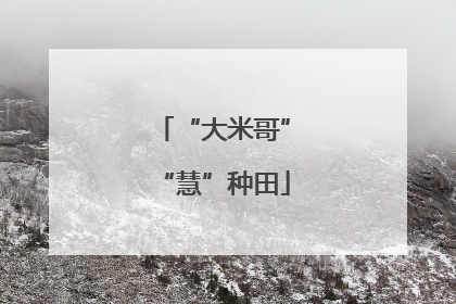 “大米哥”“慧”种田