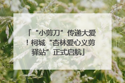 “小剪刀”传递大爱！柯城“杏林爱心义剪驿站”正式启航