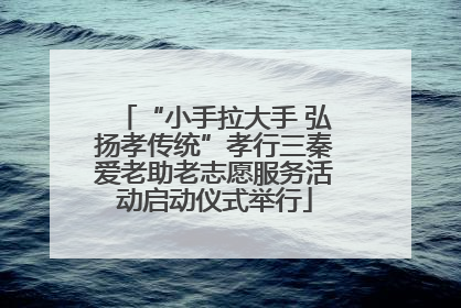 “小手拉大手 弘扬孝传统”孝行三秦爱老助老志愿服务活动启动仪式举行