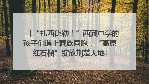 “扎西德勒！”西藏中学的孩子们遇上藏族同胞，“高原红石榴”绽放荆楚大地