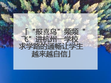 “报喜鸟”频频“飞”进杭州一学校 求学路的通畅让学生越来越自信