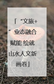 “文旅+”业态融合赋能 绘就山水人文新画卷
