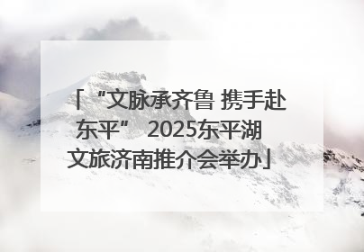 “文脉承齐鲁 携手赴东平” 2025东平湖文旅济南推介会举办