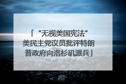 “无视美国宪法” 美民主党议员批评特朗普政府向洛杉矶派兵