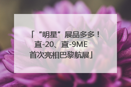 “明星”展品多多！直-20、直-9ME首次亮相巴黎航展