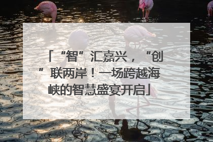 “智”汇嘉兴，“创”联两岸！一场跨越海峡的智慧盛宴开启