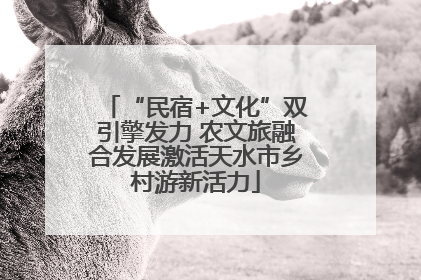 “民宿+文化”双引擎发力 农文旅融合发展激活天水市乡村游新活力