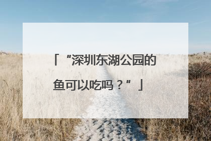 “深圳东湖公园的鱼可以吃吗？”
