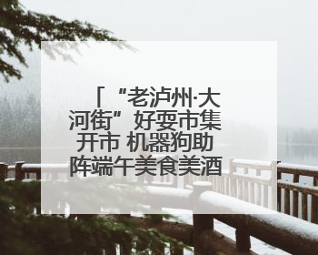 “老泸州·大河街”好耍市集开市 机器狗助阵端午美食美酒亲子乐