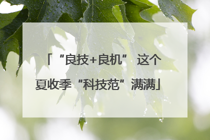 “良技+良机” 这个夏收季“科技范”满满