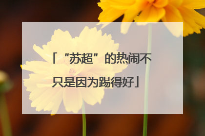 “苏超”的热闹不只是因为踢得好