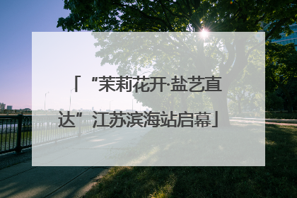 “茉莉花开·盐艺直达”江苏滨海站启幕